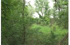 Lake County, Indiana farmland - LAND AUCTION - 147+/- ACRES OFFERED IN 3 TRACTS IN LAKE COUNTY, INDIANA